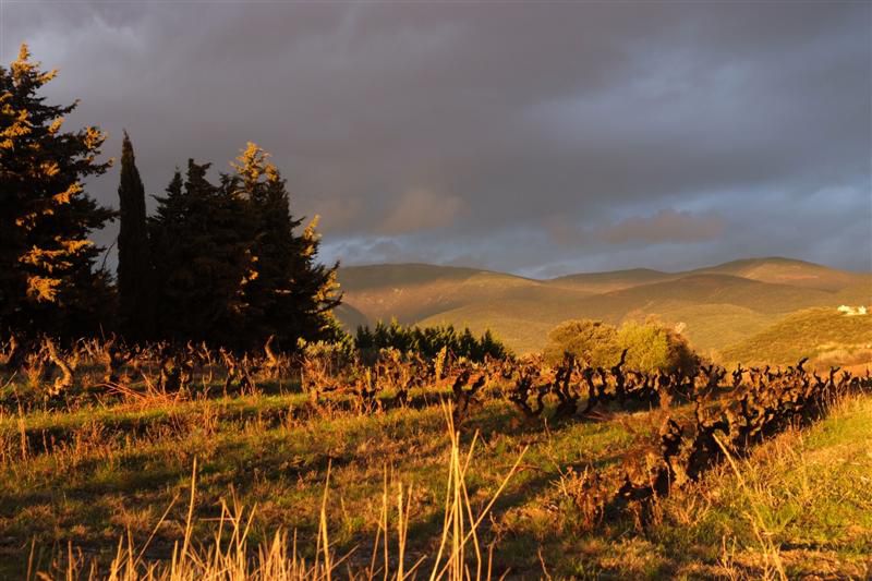 Rhône Sud