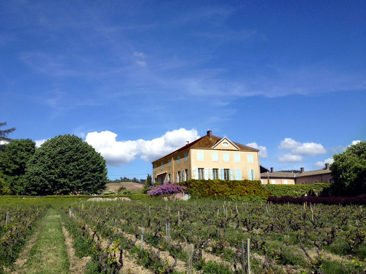 Beaujolais